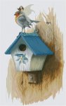 (image for) Robin Fairy